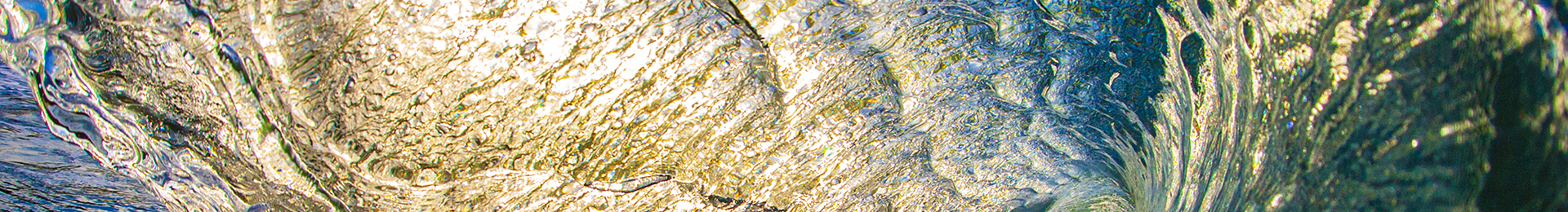 Lost Angeles banner